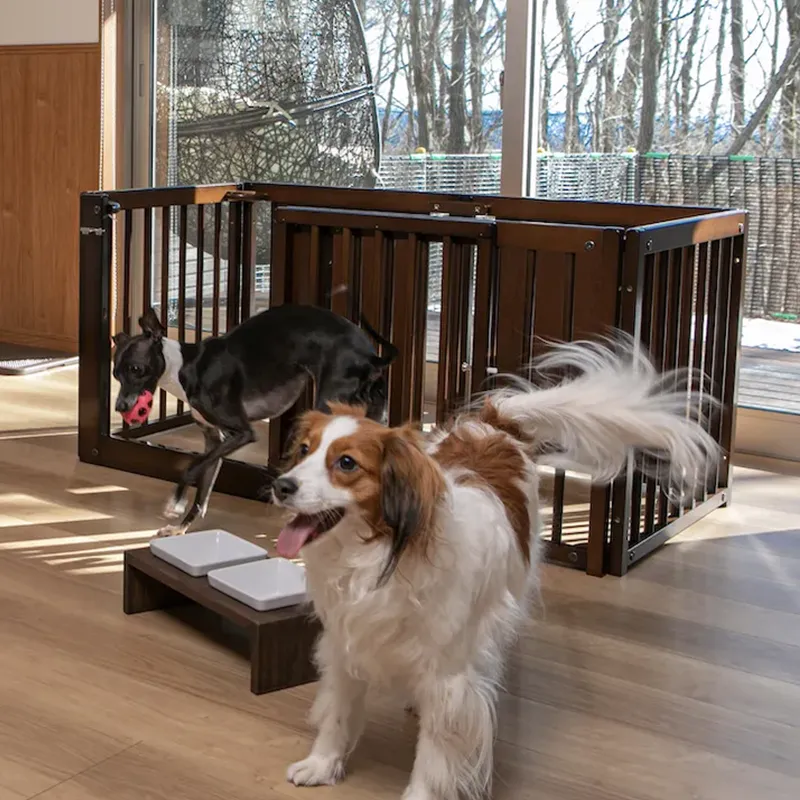 koremone事業GDIRECT